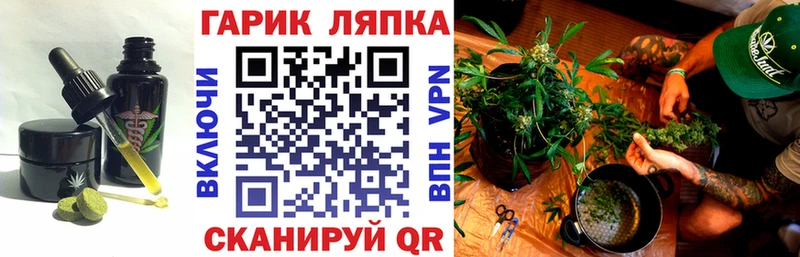 наркотики  мега ссылка  Cannafood марихуана  Талица 