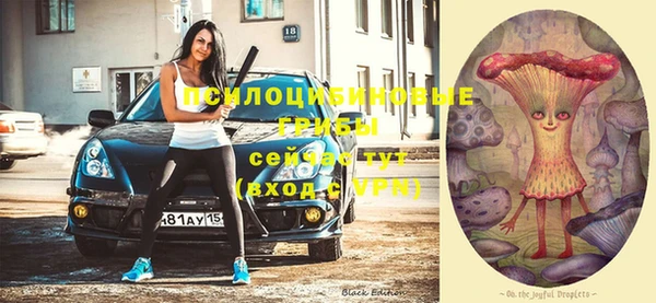 соль ск Аркадак