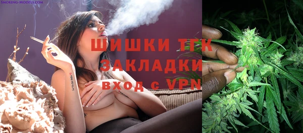 сатива Армянск