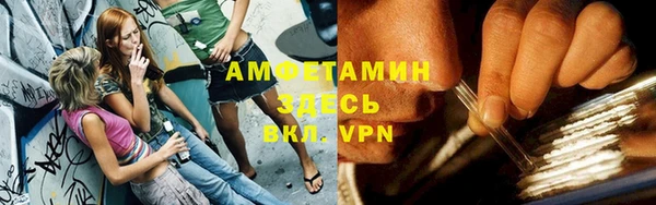 сатива Армянск