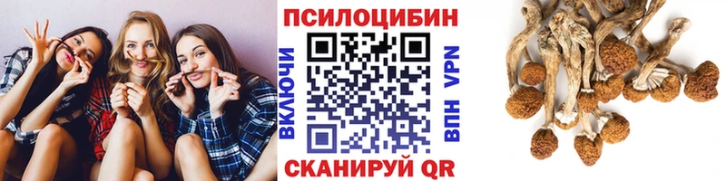 цены наркотик Талица ссылка на мегу Галлюциногенные грибы Psilocybine cubensis